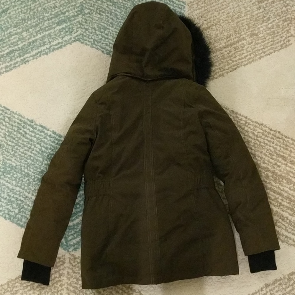 Express Jacket - Picture 3 of 4